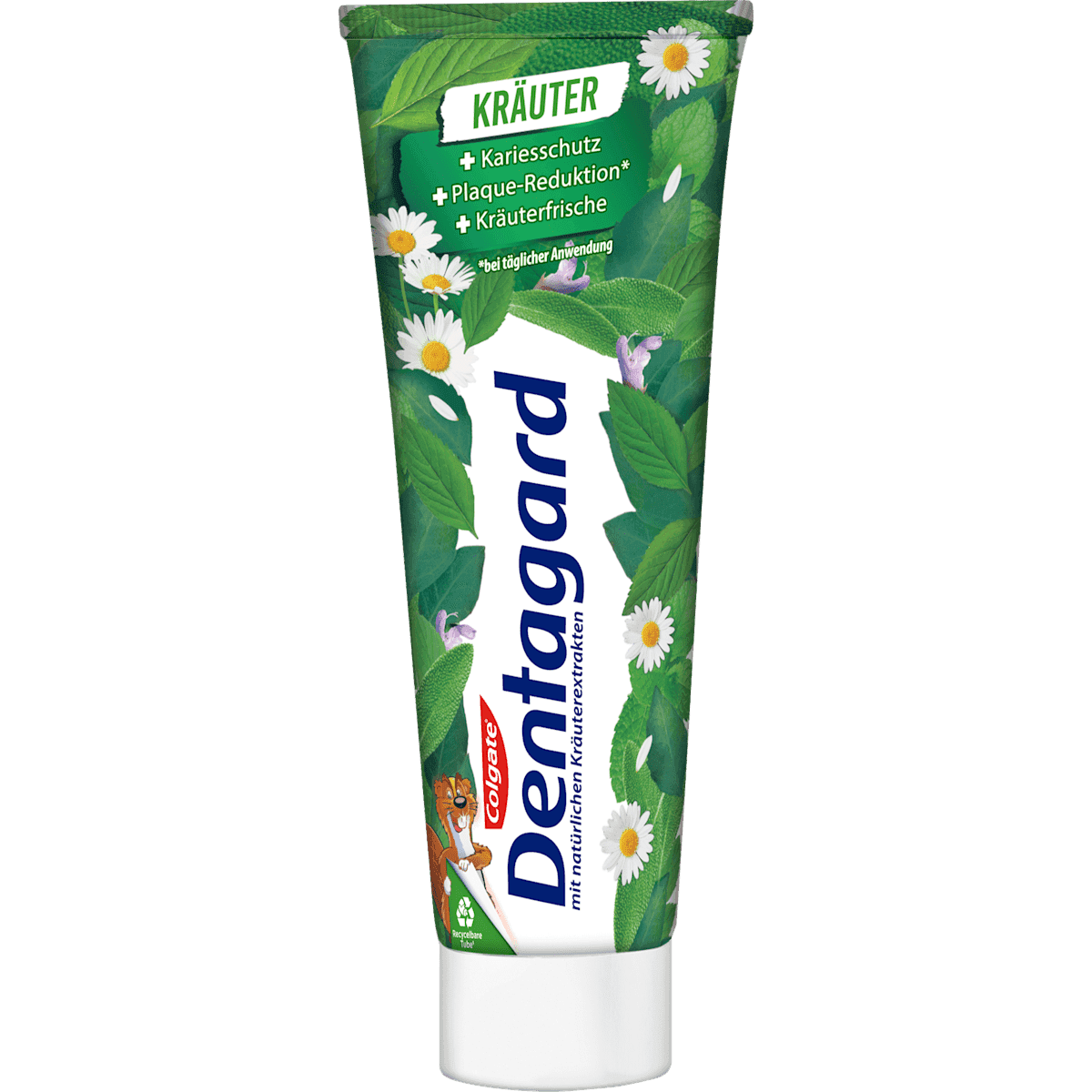Dentagard Dentifrice plantes, 75 ml (Dentagard Zahnpasta Kräuter, 75 ml) — منتج ألماني أصلي في المغرب