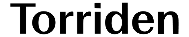 Logo Torriden