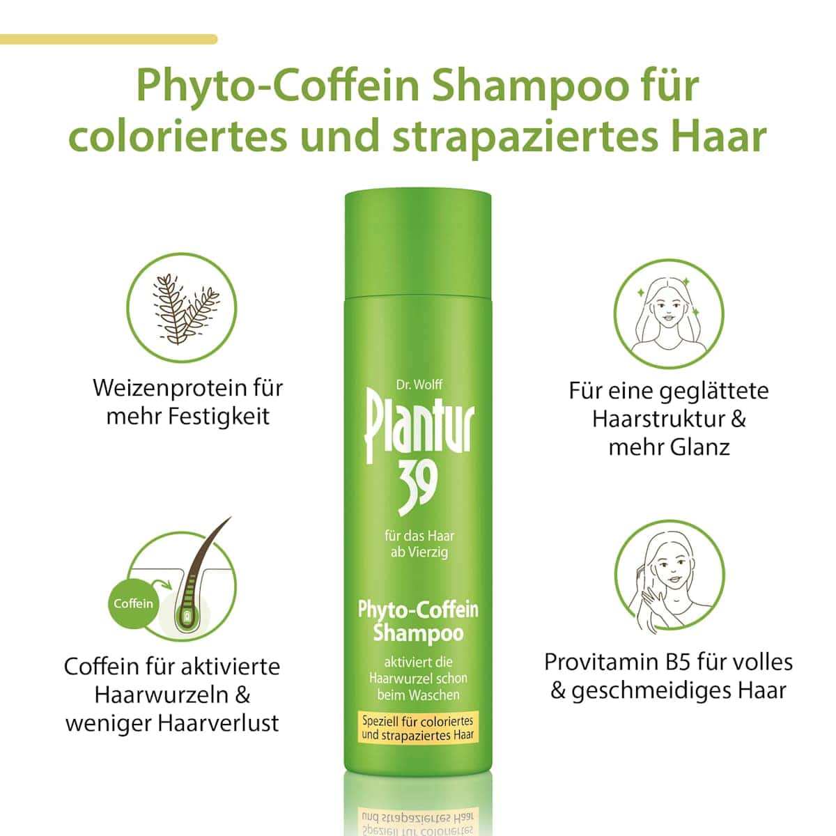 Plantur 39 Shampooing Phyto-Coffein, coloriertes & strapaziertes cheveux, 250 ml (Plantur 39 Shampoo Phyto-Coffein, coloriertes & strapaziertes Haar, 250 ml) — منتج ألماني أصلي في المغرب