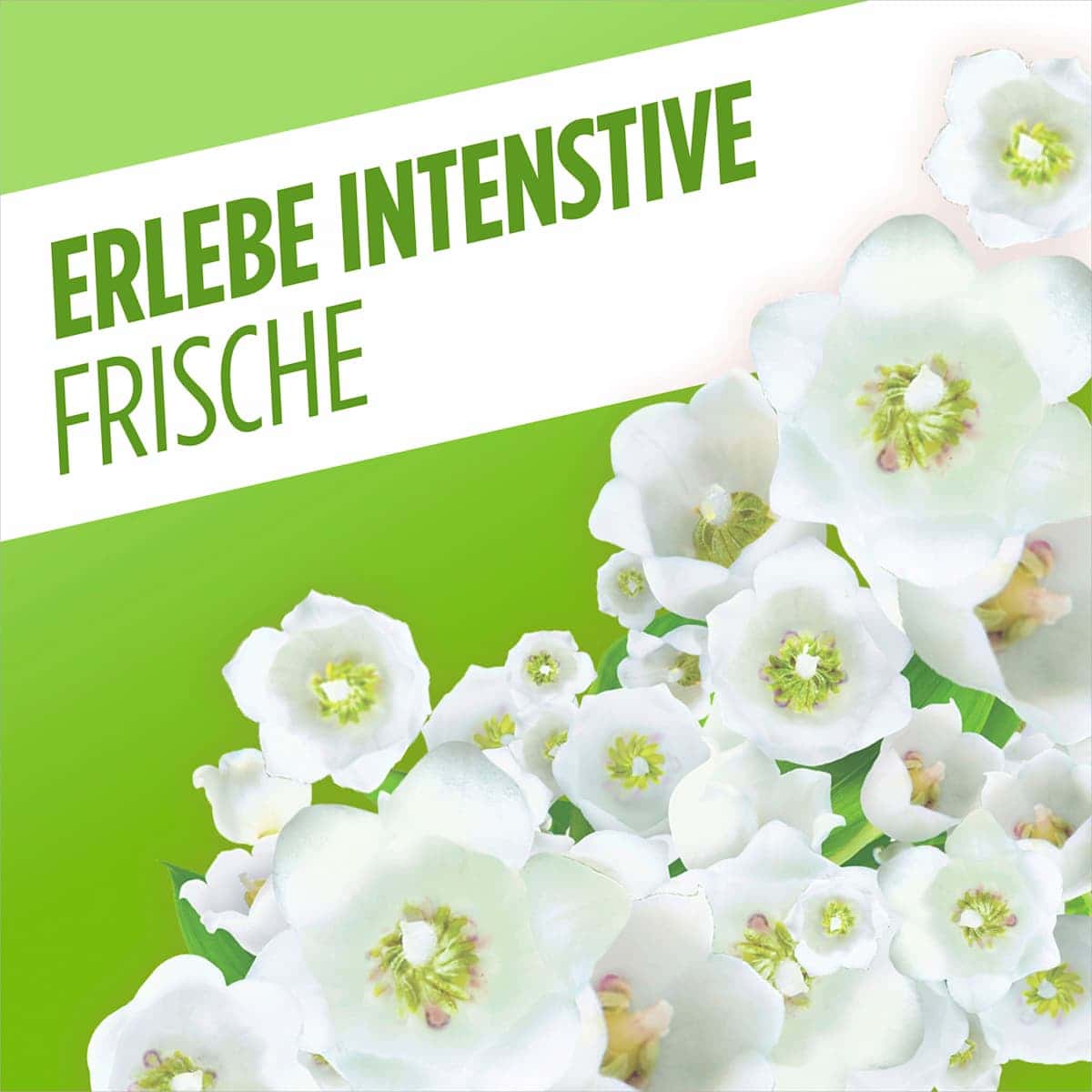 AJAX Nettoyant multi-usages fleurs de printemps, 1.000 ml (AJAX Allzweckreiniger Frühlingsblumen, 1.000 ml) — produit allemand authentique au Maroc
