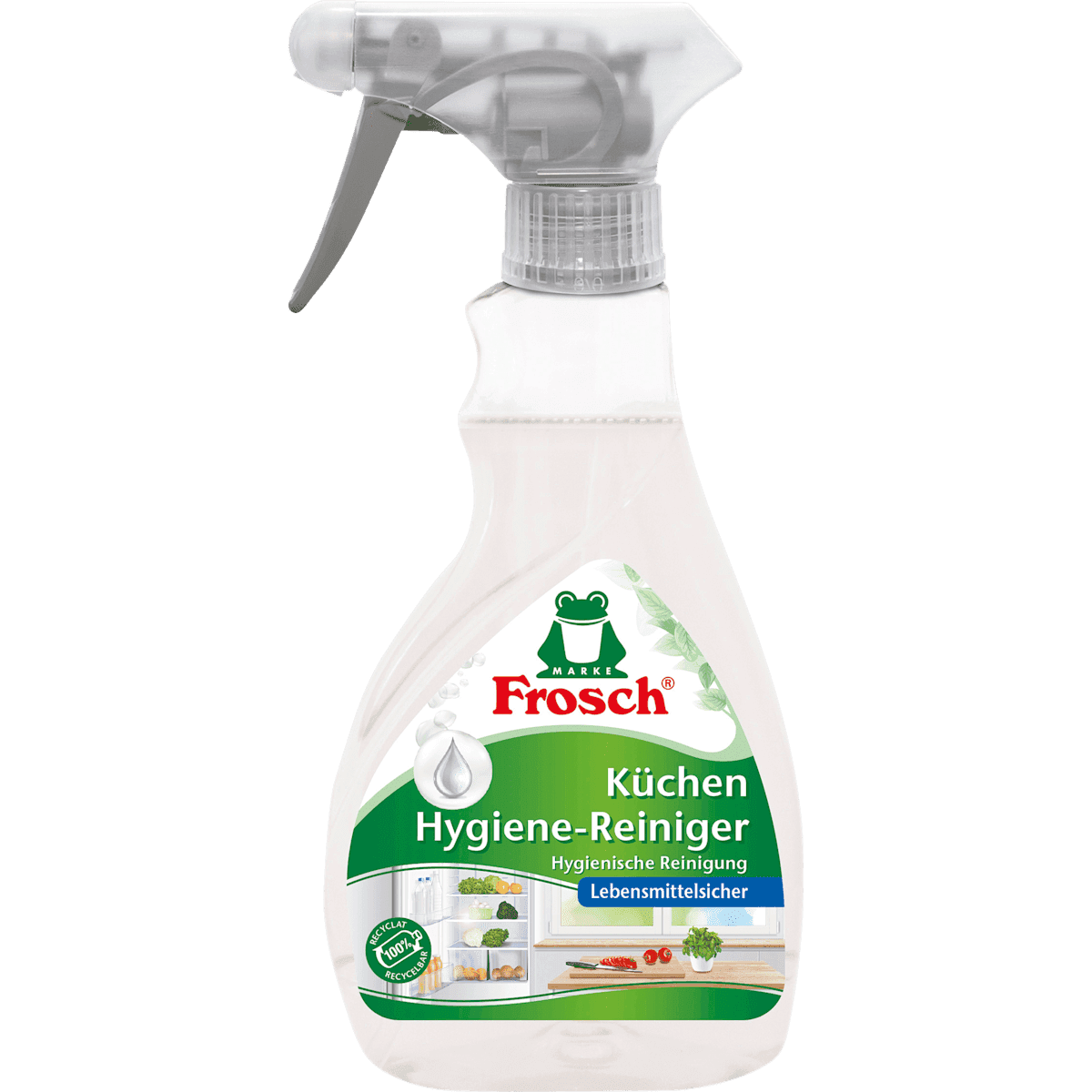 Frosch Cleanser sanitary Küche Lebensmittelsicher, 300 ml — authentic German product in Morocco