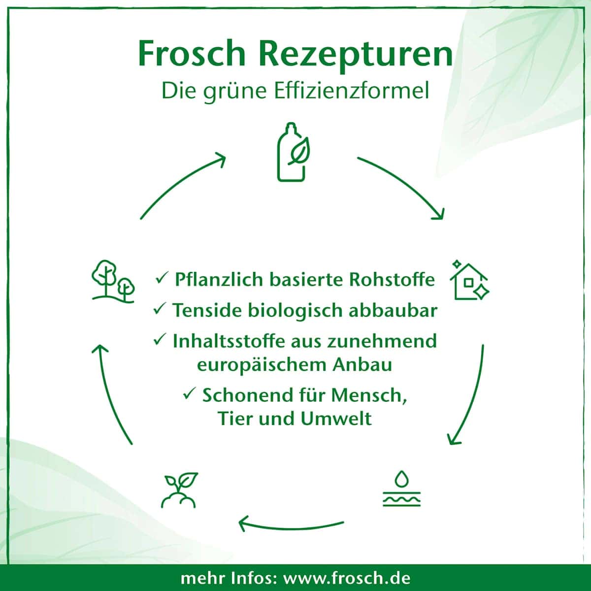 Frosch Liquid dishes lotion aloe vera refill, 800 ml (Frosch Spülmittel-Lotion Aloe Vera Nachfüllbeutel, 800 ml) — authentic German product in Morocco