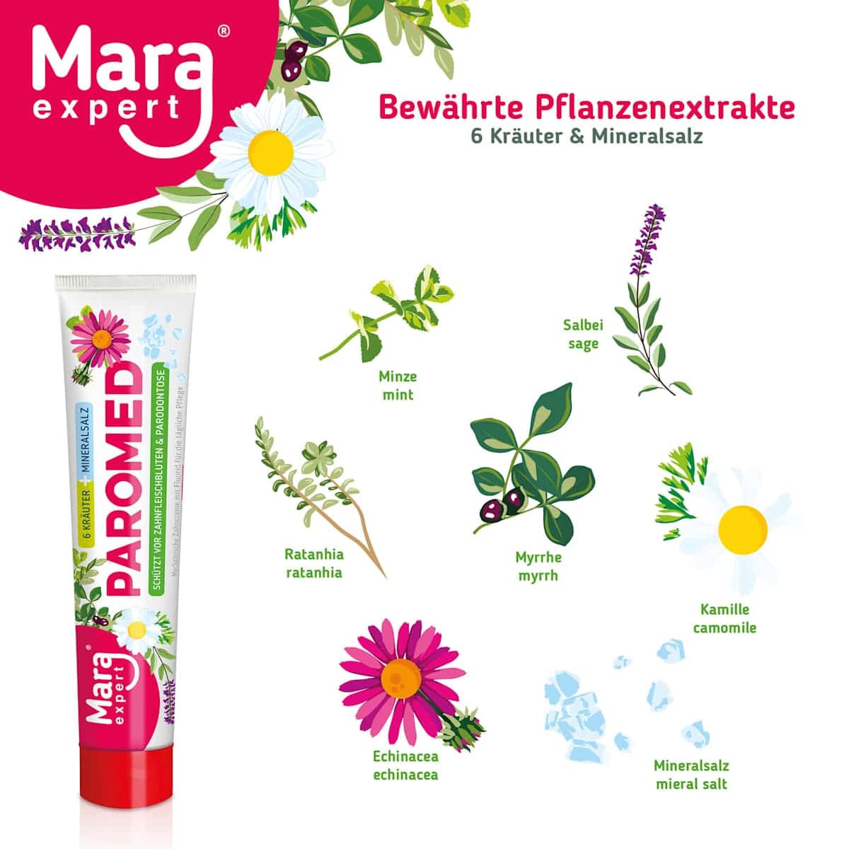 Mara Dentifrice Paromed, 75 ml (Mara Zahnpasta Paromed, 75 ml) — منتج ألماني أصلي في المغرب