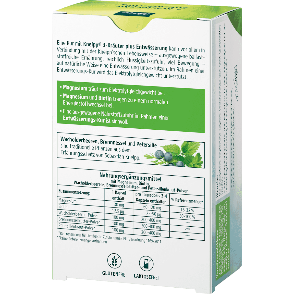 Kneipp Drainage 3-plantes Plus gélules 60 pièces, 28,6 g (Kneipp Entwässerung 3-Kräuter Plus Kapseln 60 St, 28,6 g) — produit allemand authentique au Maroc