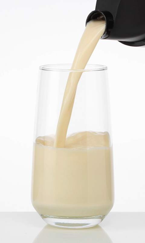 Sportness Poudre protéinée Whey goût vanille 450 g