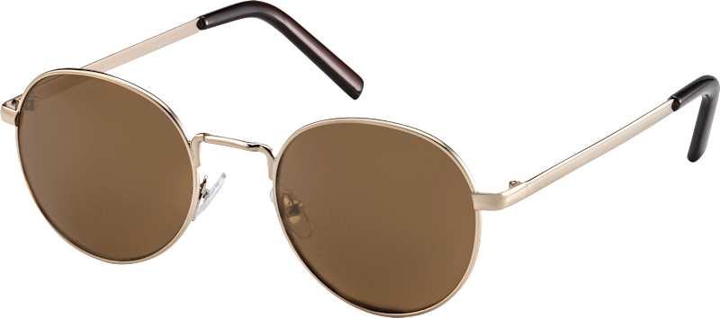 SUNDANCE lunettes de soleil adulte monture métal doré verres ronds teintés marron 1 pièce